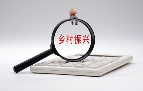 打通金融“最后一公里”，以多元服務(wù)賦能鄉(xiāng)村振興